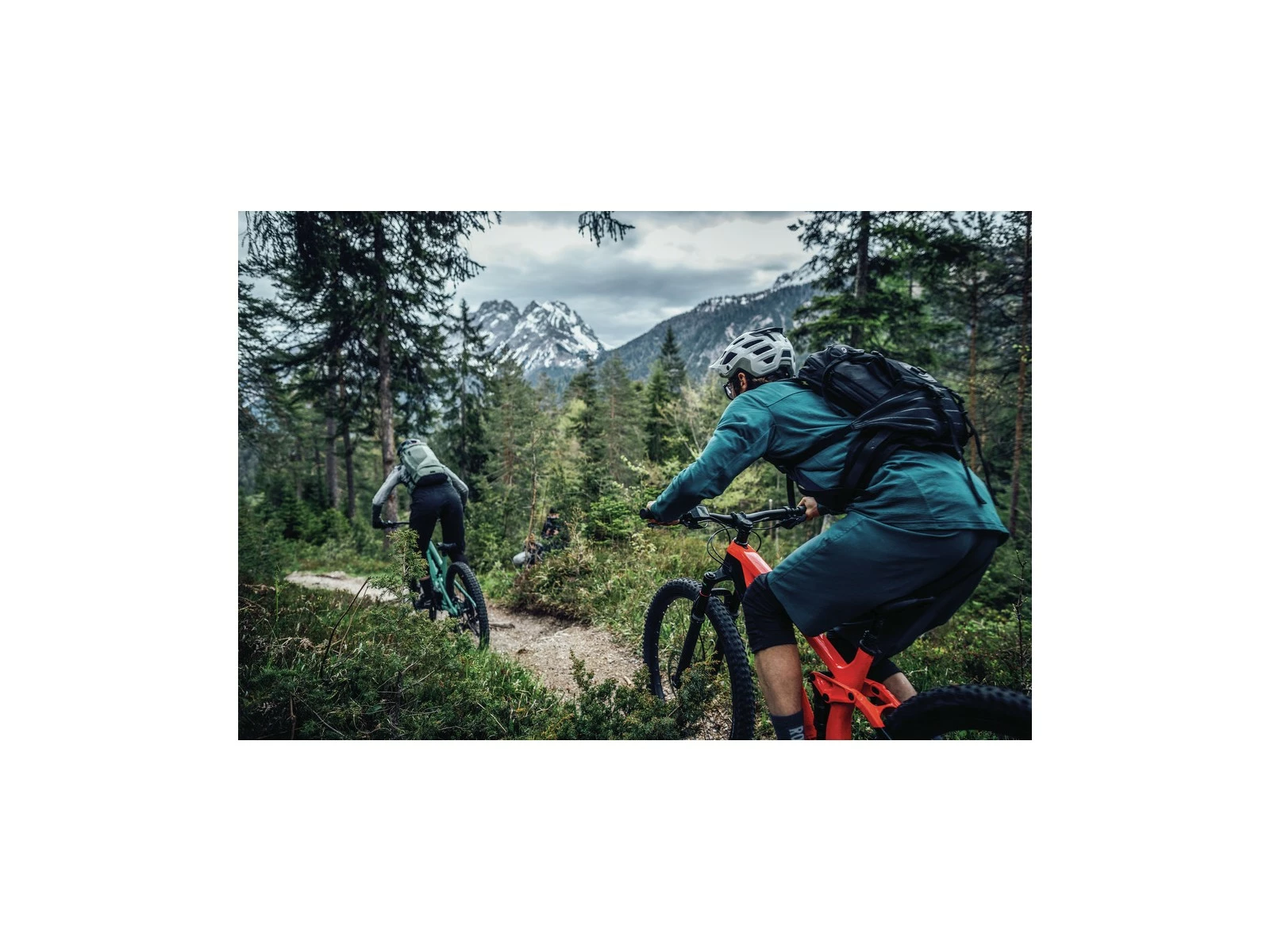 ABUS Casque Moventor 2.0 Pine Green 7 ABUS Casque Moventor 2.0 Pine Green – Image 7