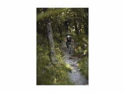 ABUS Casque VTT MoDrop Pine Green 30 ABUS Casque VTT MoDrop Pine Green -VTT complets Magasin de vente abus casque vtt modrop pine green 14