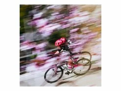 CANNONDALE SuperSix Evo Hi-Mod Ultegra Team Replica Education First 2023 20 CANNONDALE SuperSix Evo Hi-Mod Ultegra Team Replica Education First 2023 -VTT complets Magasin de vente cannondale supersix evo hi mod ultegra team replica education first 2023 9