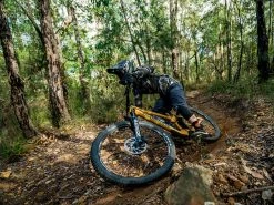 ROCKSHOX Fourche Zeb Ultimate Charger 2.1 RC2 29'' Boost 15x110 Déport 44mm 190mm Noir 9 ROCKSHOX Fourche Zeb Ultimate Charger 2.1 RC2 29'' Boost 15x110 Déport 44mm 190mm Noir -VTT complets Magasin de vente rockshox fourche zeb ultimate charger 21 rc2 29 boost 15x110 deport 44mm 190mm noir 4